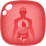 Stories About Human Body